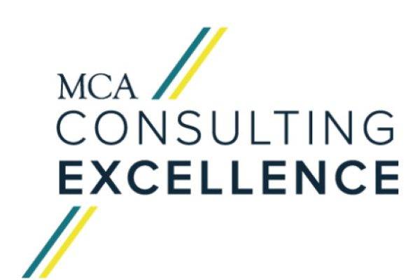 Consulting Excellence: The Implications for Professional Development